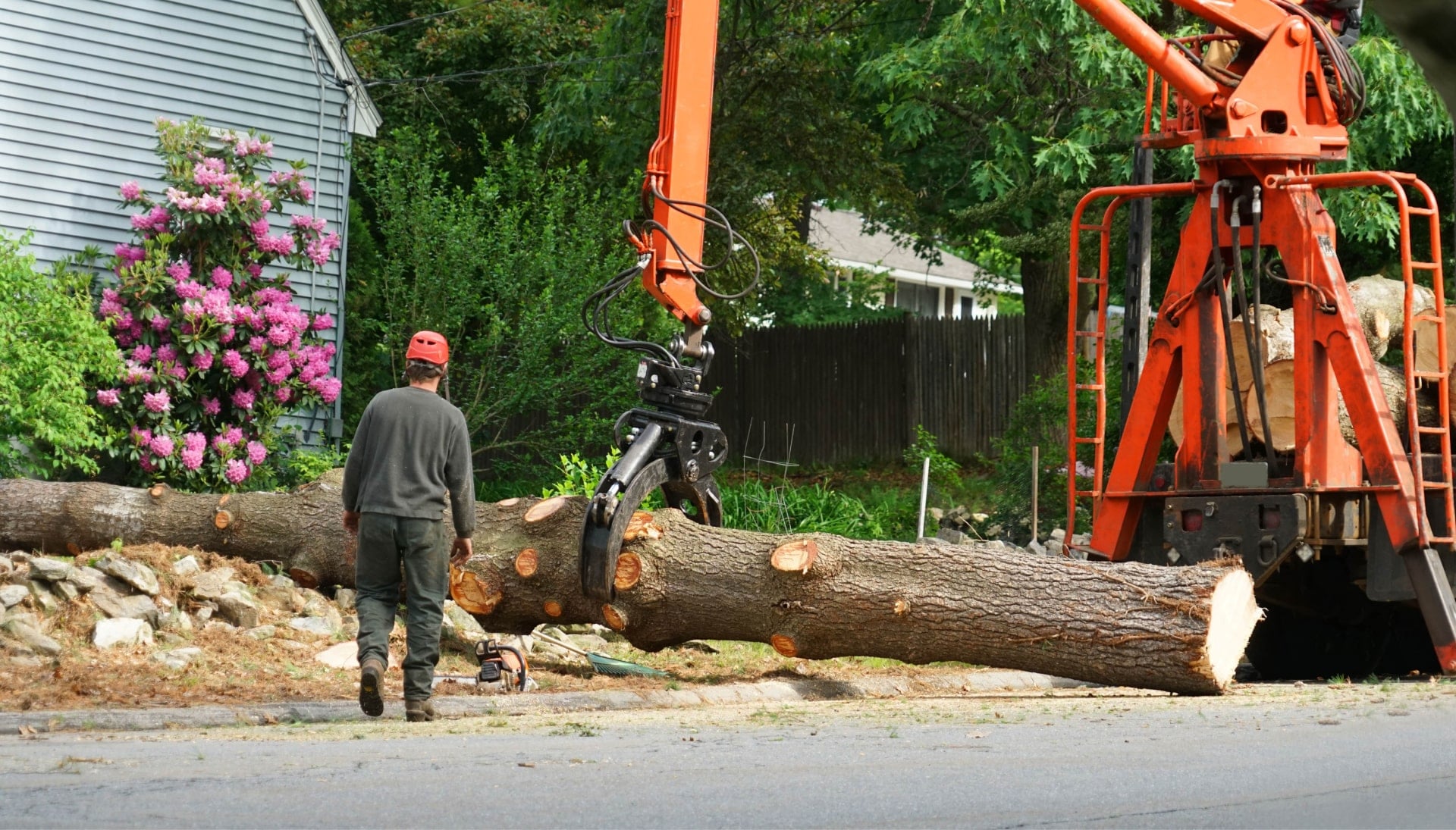 Local partner for Tree removal services in Orange County